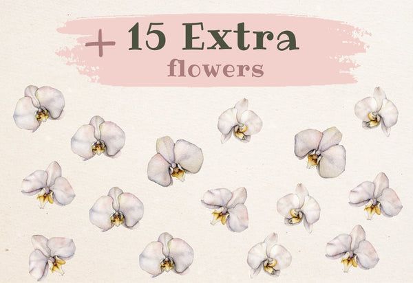 Wall Stickers Boho - Nursery Wall Decals - Floral Wall Sticker