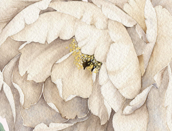 Wall sticker peony flowers