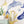 AQUAMARINE- Under the Sea Wall Decal - Ocean Animal - Watercolor Stickers Sea Life