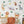 Safari Animal Wall Decal - Jungle Nursery Decal - Stickers Jungle - Animal Decals for Nursery