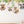 Farm Animals Wall Decals - Animals on Swing Wall Sticker - Childrens Wall Decal - Farm Nursery Decor