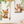Wall Stickers for Kids Room Animals On A Swing - Woodland Animal Wall Decals - Nursery Wall Decal