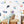 Ocean Nursery Decals - Under the Sea Wall Decals - Underwater Nursery Wall Decals - Peel and Stick