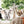 Big Jungle Wall Stickers - Safari Animals on Swings - Kids Playroom & Nursery Decal
