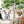 Safari Animals Wall Decals - Nursery Wall Stickers - Jungle Animals On a Swing - Zoo Animal - Playroom Decoration