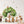 Woodland Nursery Decor Wall Decal - Forest Animals Wall Sticker for Boy and Girl Playroom