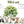 Safari Animals Wall Decals - Nursery Wall Stickers - Jungle Animals On a Swing - Zoo Animal - Playroom Decoration