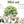 Big Jungle Wall Stickers - Safari Animals on Swings - Kids Playroom & Nursery Decal