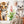 Safari Animals Wall Decals - Nursery Wall Stickers - Jungle Animals On a Swing - Zoo Animal - Playroom Decoration