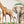 Safari Animal Nursery Wall Decals – Large Jungle Wall Stickers - Magic of the Wild Animals Stickers for girls and boys