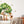 Woodland Nursery Decor Wall Decal - Forest Animals Wall Sticker for Boy and Girl Playroom