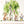 XXL Australian Animals Wall Decals - Rainforest Animals Wall Sticker for Nursery, bedroom or playroom decoration