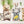 XXL Australian Animals Wall Decals - Rainforest Animals Wall Sticker for Nursery, bedroom or playroom decoration