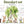 XXL Australian Animals Wall Decals - Rainforest Animals Wall Sticker for Nursery, bedroom or playroom decoration