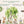 XXL Australian Animals Wall Decals - Rainforest Animals Wall Sticker for Nursery, bedroom or playroom decoration