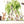 XXL Australian Animals Wall Decals - Rainforest Animals Wall Sticker for Nursery, bedroom or playroom decoration