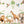 Safari Animal Nursery Wall Decals – Large Jungle Wall Stickers - Magic of the Wild Animals Stickers for girls and boys