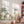 Large Dinosaur Wall Decals for Nursery - Cute Dino Wall Sticker for Kids Bedroom or Playroom
