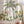 Large Dinosaur Wall Decals for Nursery - Cute Dino Wall Sticker for Kids Bedroom or Playroom