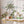 Large Dinosaur Wall Decals for Nursery - Cute Dino Wall Sticker for Kids Bedroom or Playroom
