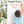 Large Dinosaur Wall Decals for Nursery - Cute Dino Wall Sticker for Kids Bedroom or Playroom