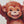 Nursery Wall Stickers for Kids Room Animals on Swings - Safari Wall Decal - Jungle Nursery Decor