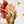Fairy Wall Stickers