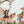 Fairy Wall Stickers