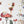 Fairy wall decals for girls