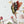 Fairy Wall Stickers