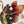 Fairy Wall Stickers
