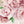 Wall decals peony flowers and roses