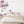 Wall stickers peonies