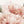 Peonies wall sticker