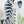 Jungle Animals Stickers - Zebra, Sloth, Parrot