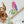 Jungle Animals Stickers - Zebra, Sloth, Parrot