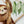 Jungle Animals Stickers - Zebra, Sloth, Parrot