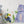Safari Animal stickers - Rhinoceros, Lemur, Toucan