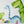 Dinosaur wall stickers