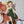 Fairy wall stickers - fairy decoration