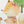 Wall stickers forest animals - Rabbit, Bear, Fox, Hedgehog
