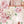 Wall decals peony flowers and roses