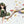 Fairies wall stickers - 281 elements