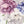 Wall stickers peonies