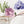 Wall stickers peonies