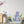 Rhino Jungle Animals - Wall Decals for Nursery - Safari Animals Wall Stickers