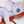 Safari Animal stickers - Rhinoceros, Lemur, Toucan