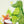 Animal walls tickers - Crocodile, Red Panda