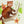 Animal walls tickers - Crocodile, Red Panda