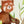 Animal walls tickers - Crocodile, Red Panda